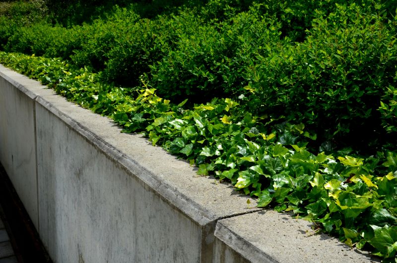 Excavation for Wall Base